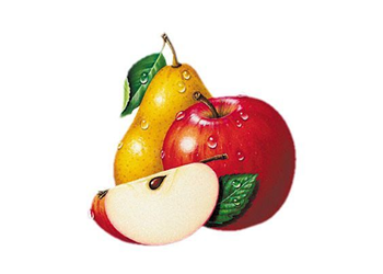 Year R - Apple and Pear Classes
