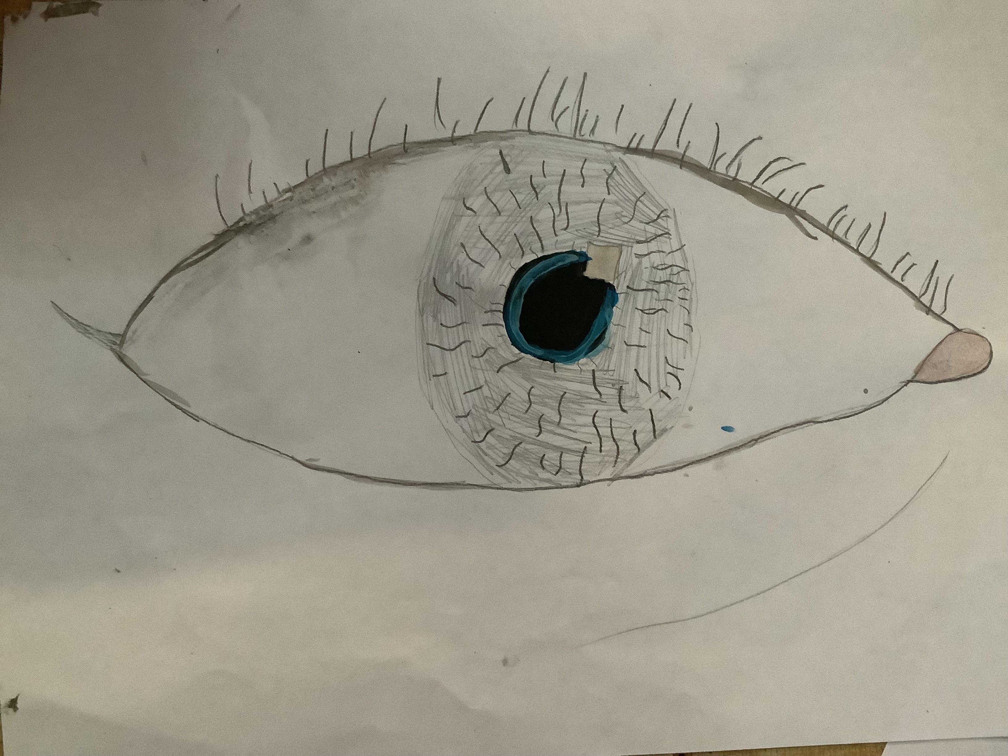 Dariya's hand painted eye